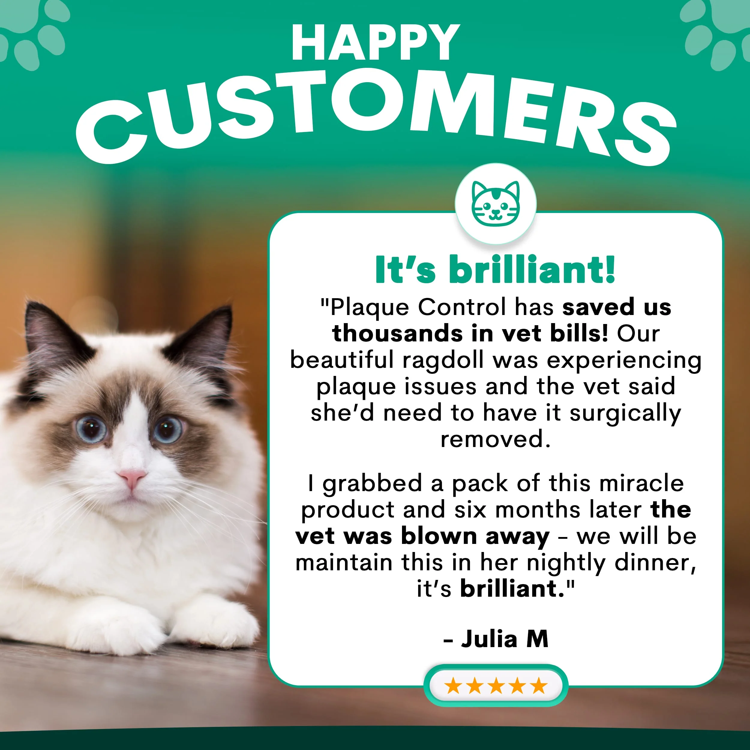 Plaque Control for Cats - Image 4