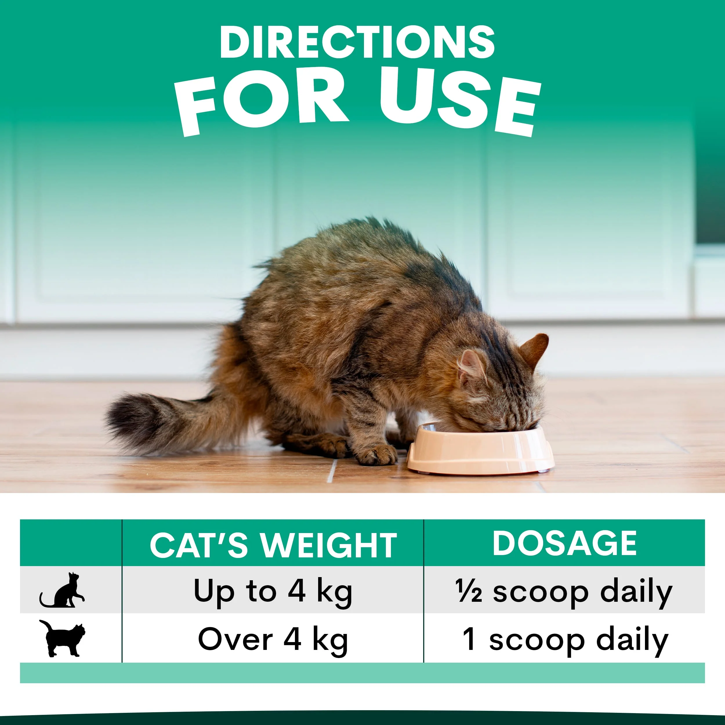 Plaque Control for Cats - Image 7