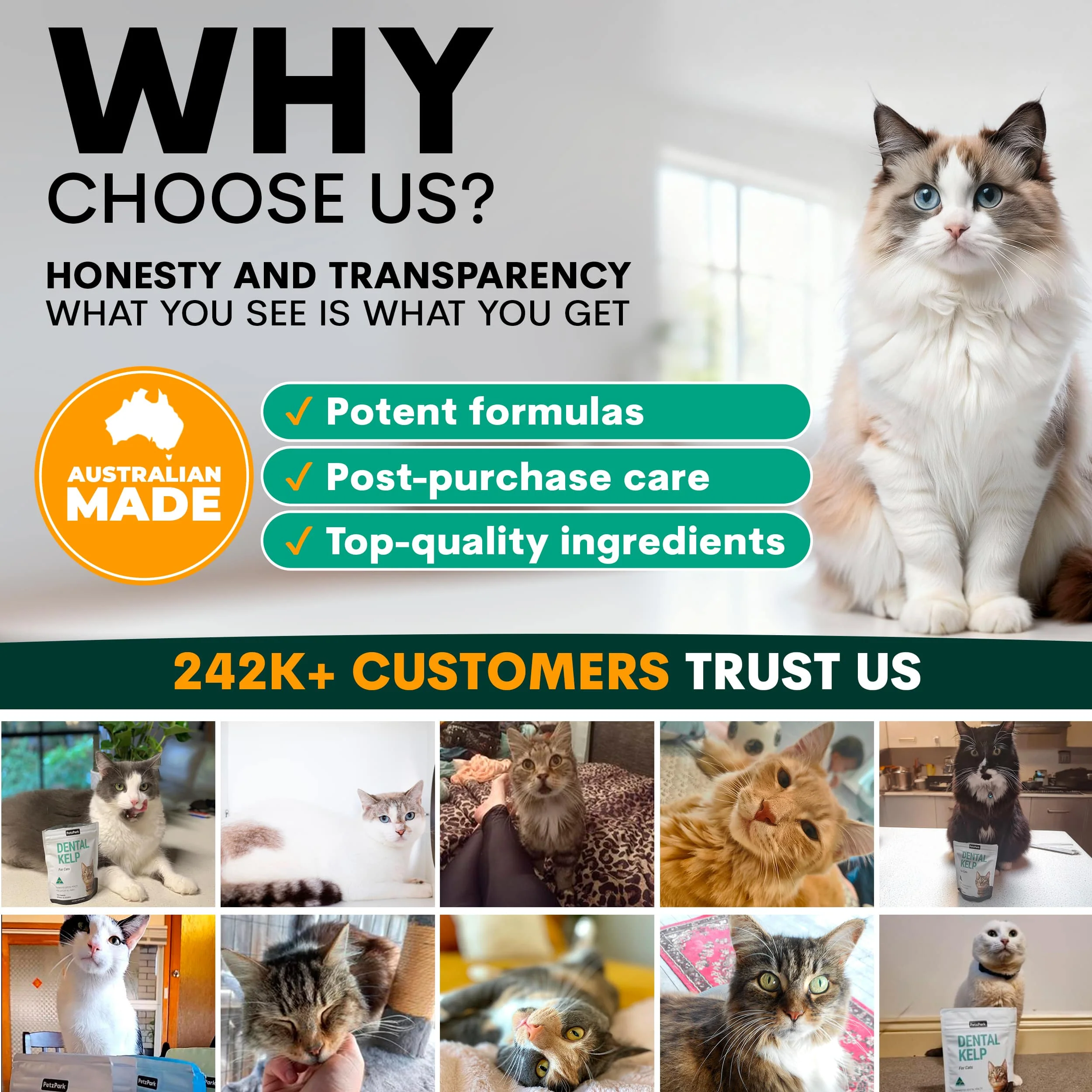 Plaque Control for Cats - Image 8