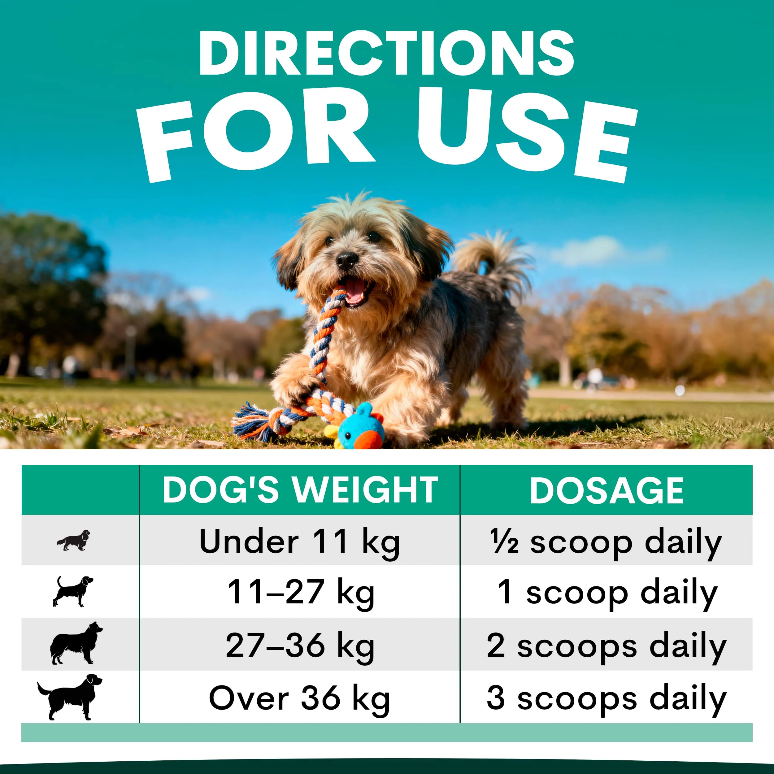 Plaque Control for Dogs - Image 7