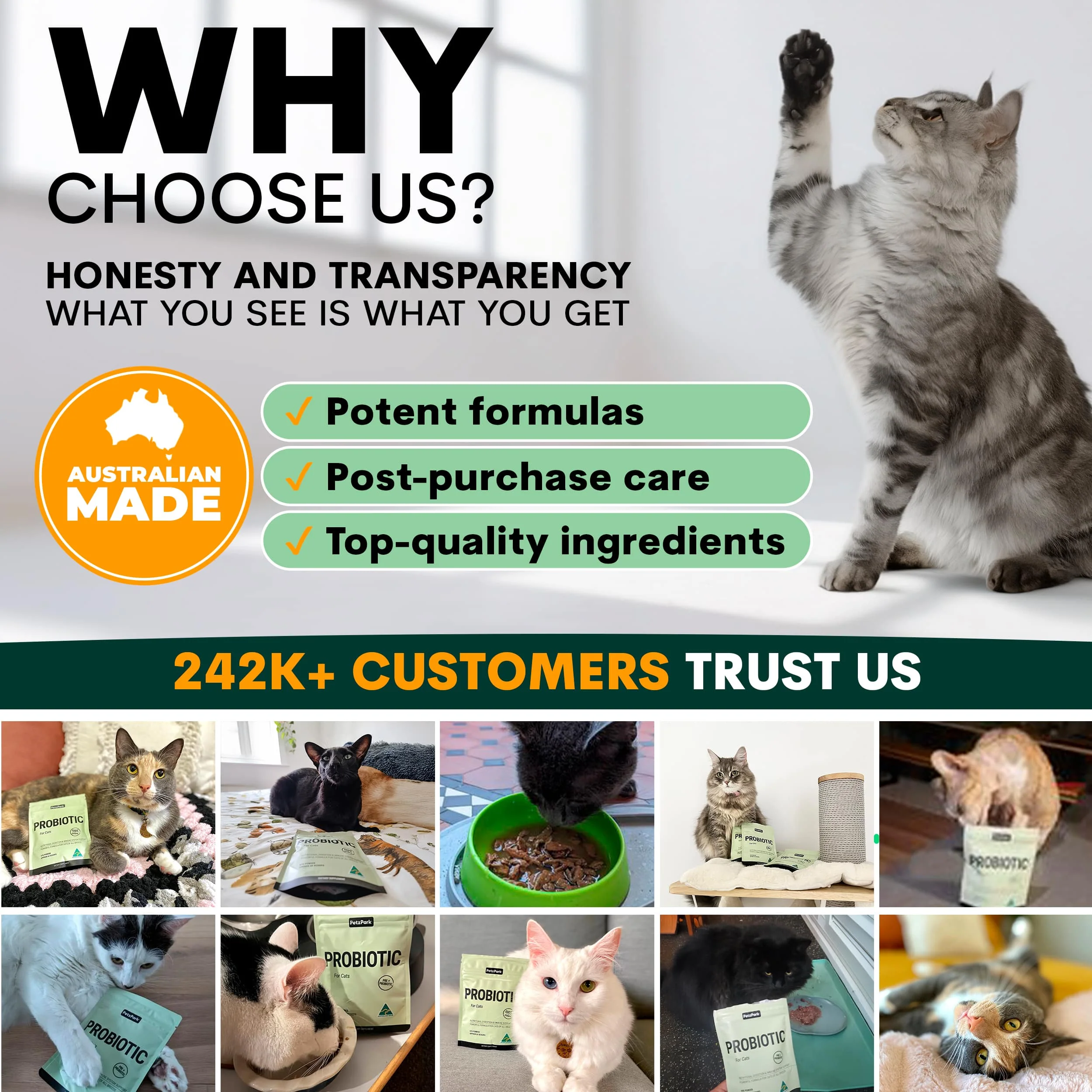 Probiotic for Cats - Image 10