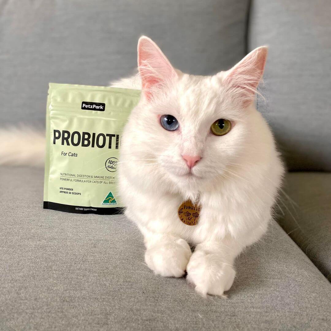 Probiotic for Cats - Image 5