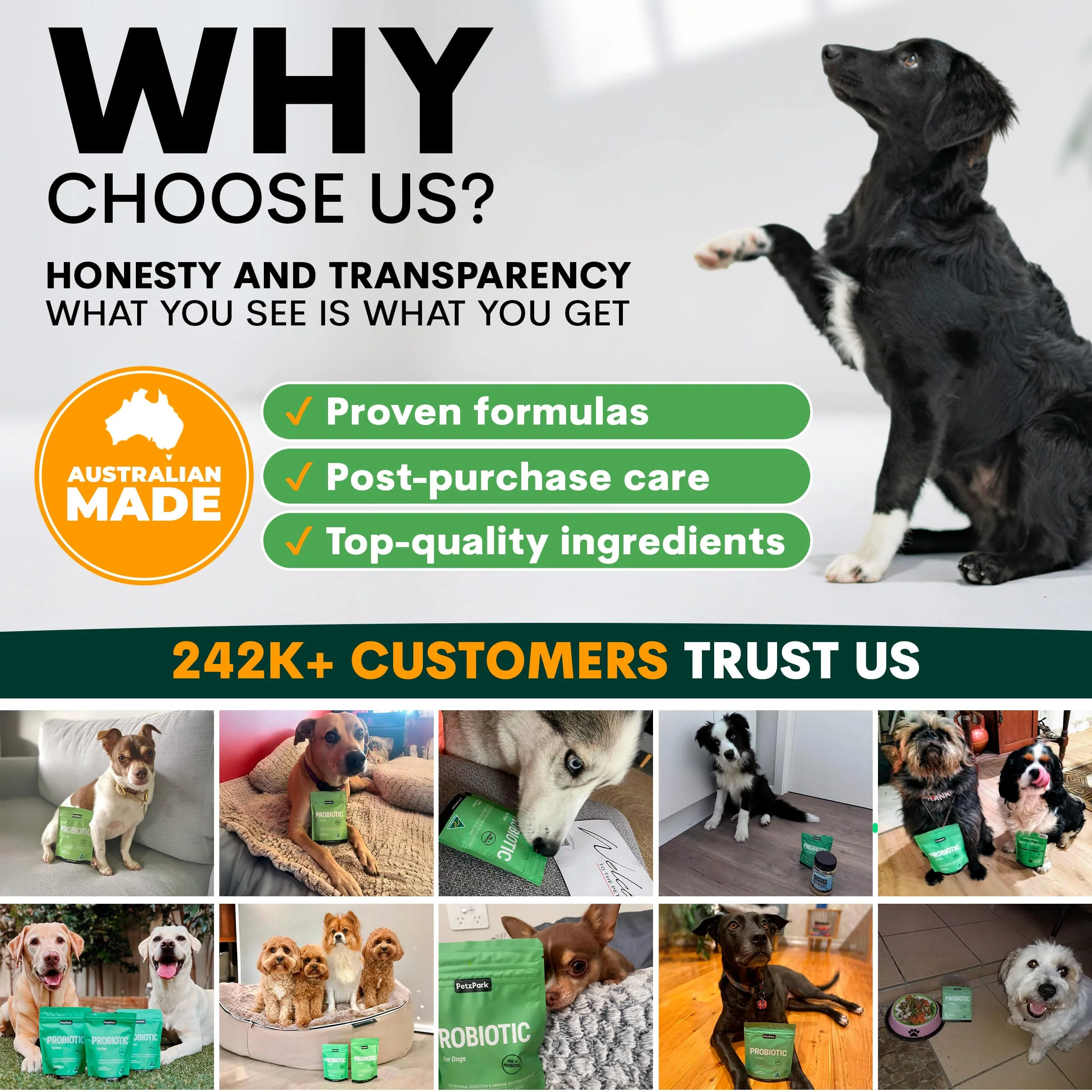Probiotics for Dogs - Image 10
