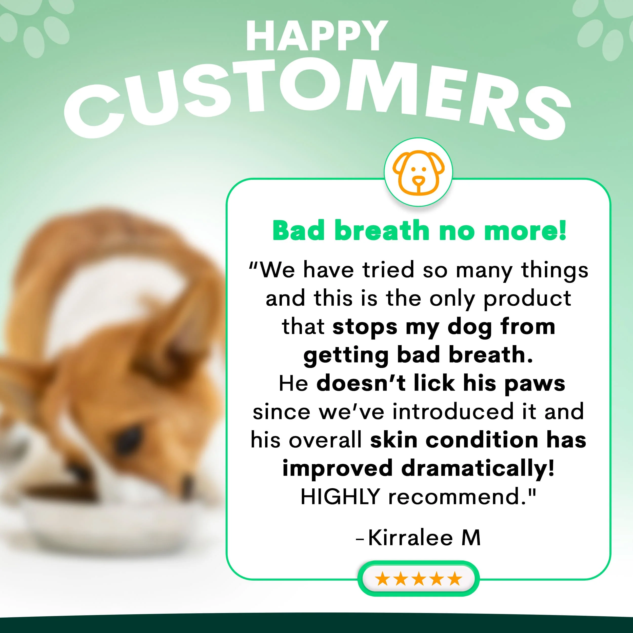 Probiotics for Dogs - Image 4