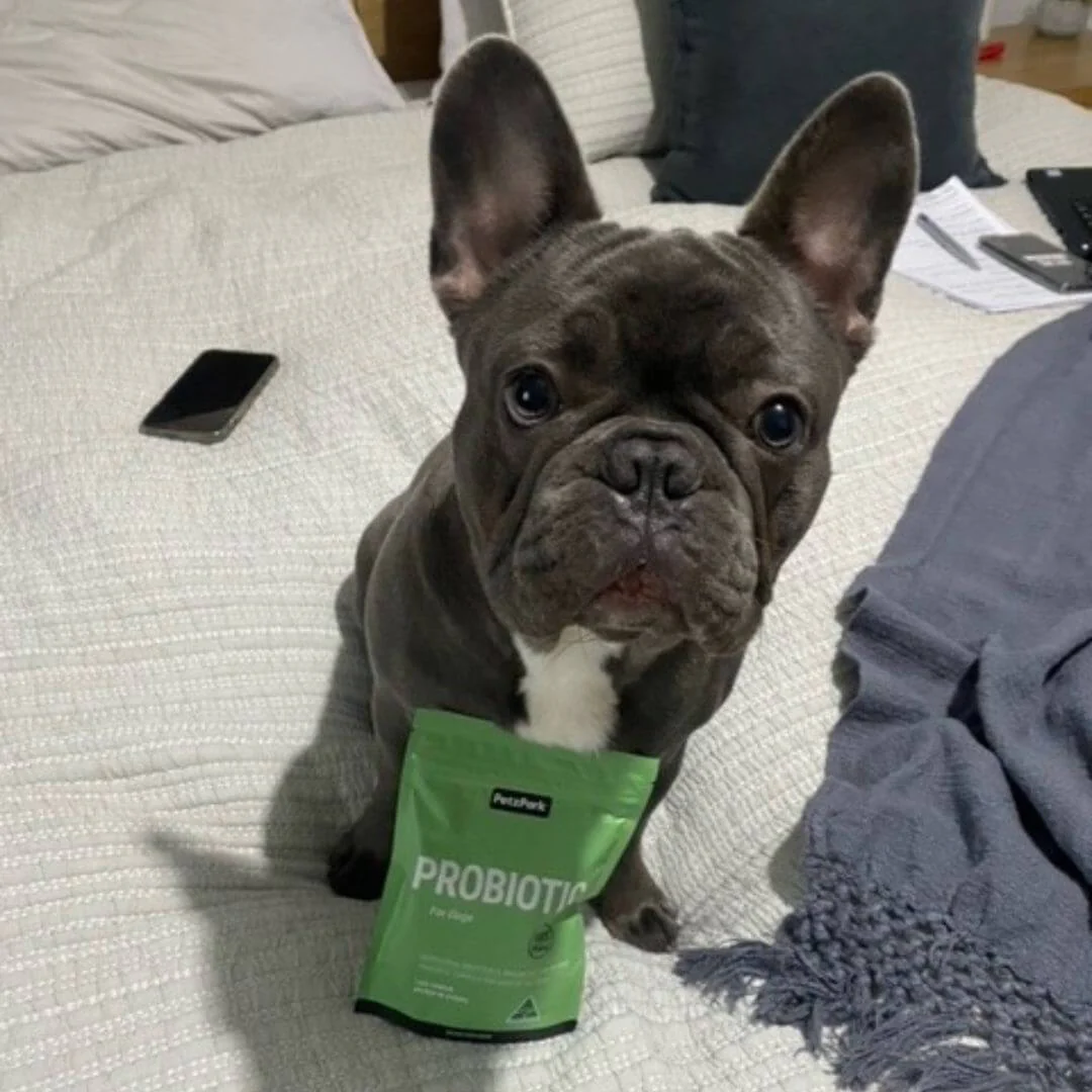 Probiotics for Dogs - Image 9