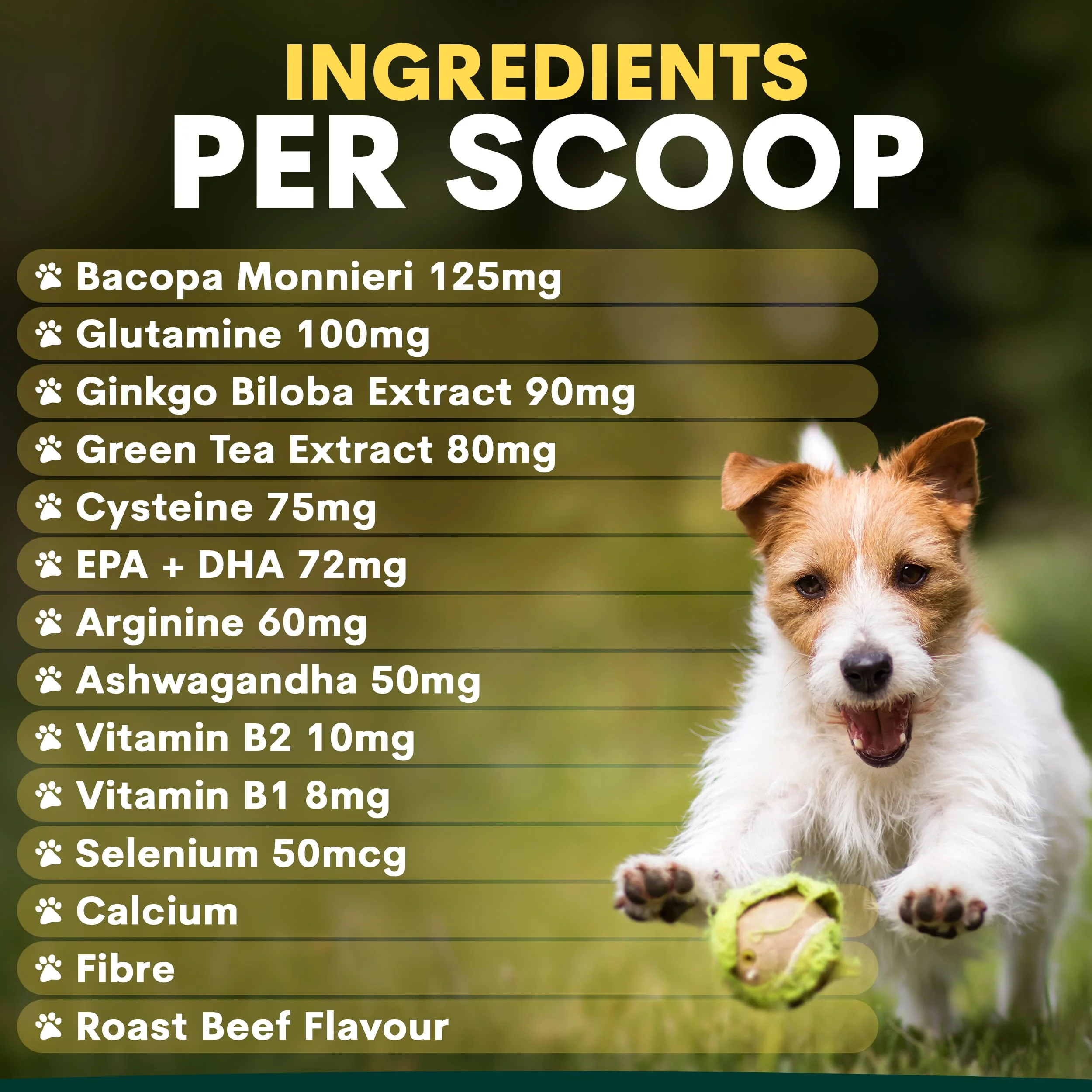 Brain Support for Dogs - Image 5