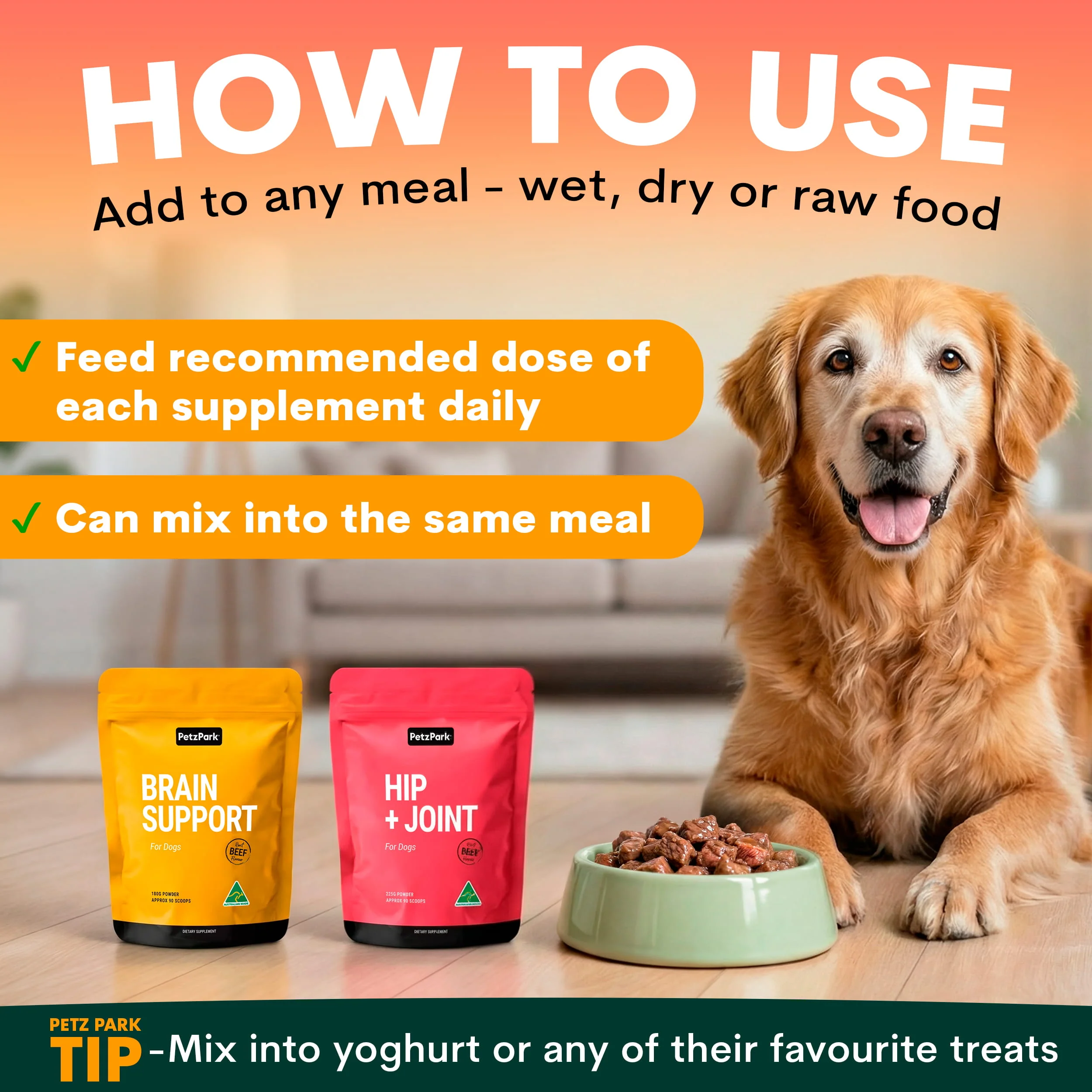 Senior Care for Dogs - Image 5