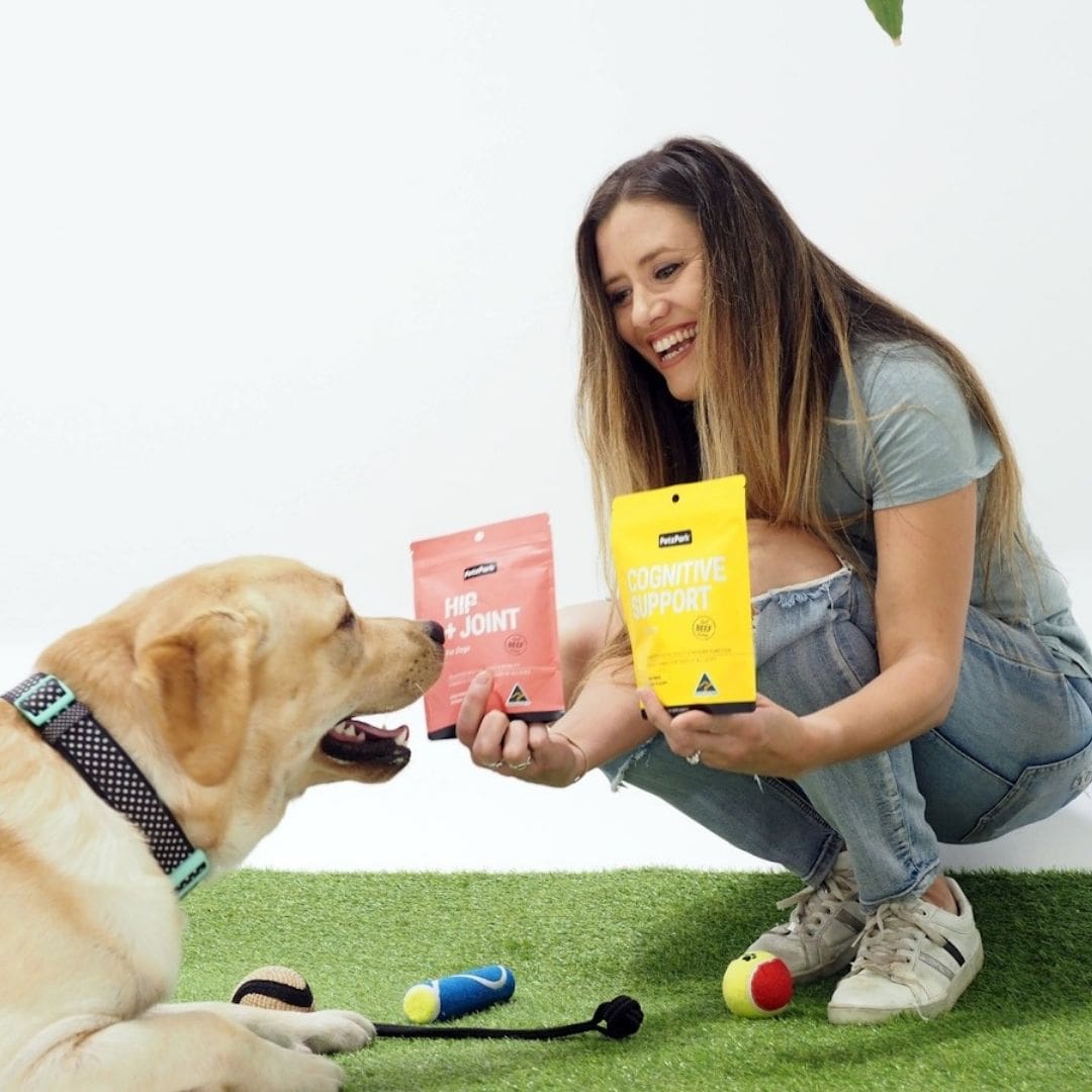 Senior Care for Dogs - Image 9