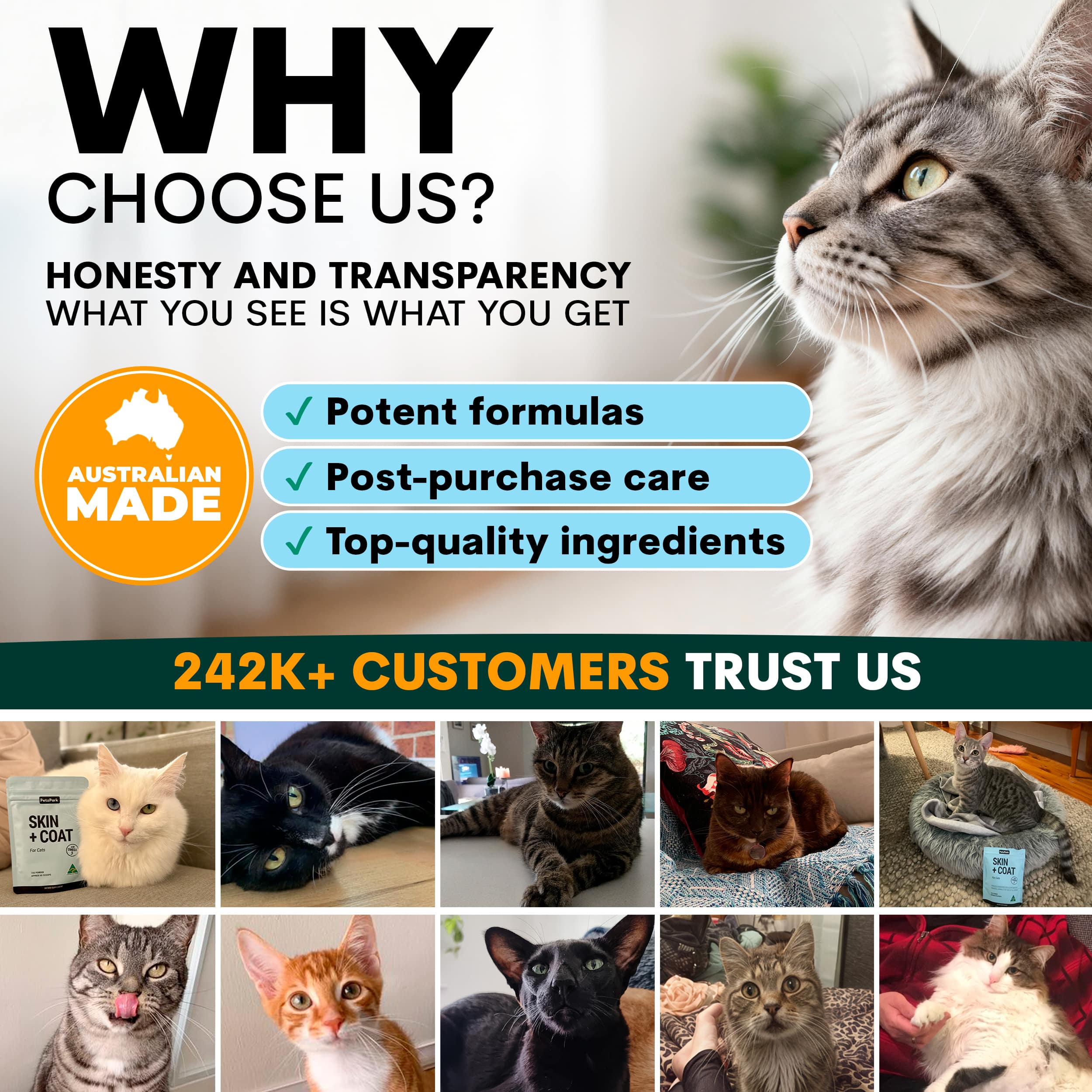 Skin + Coat for Cats - Image 8