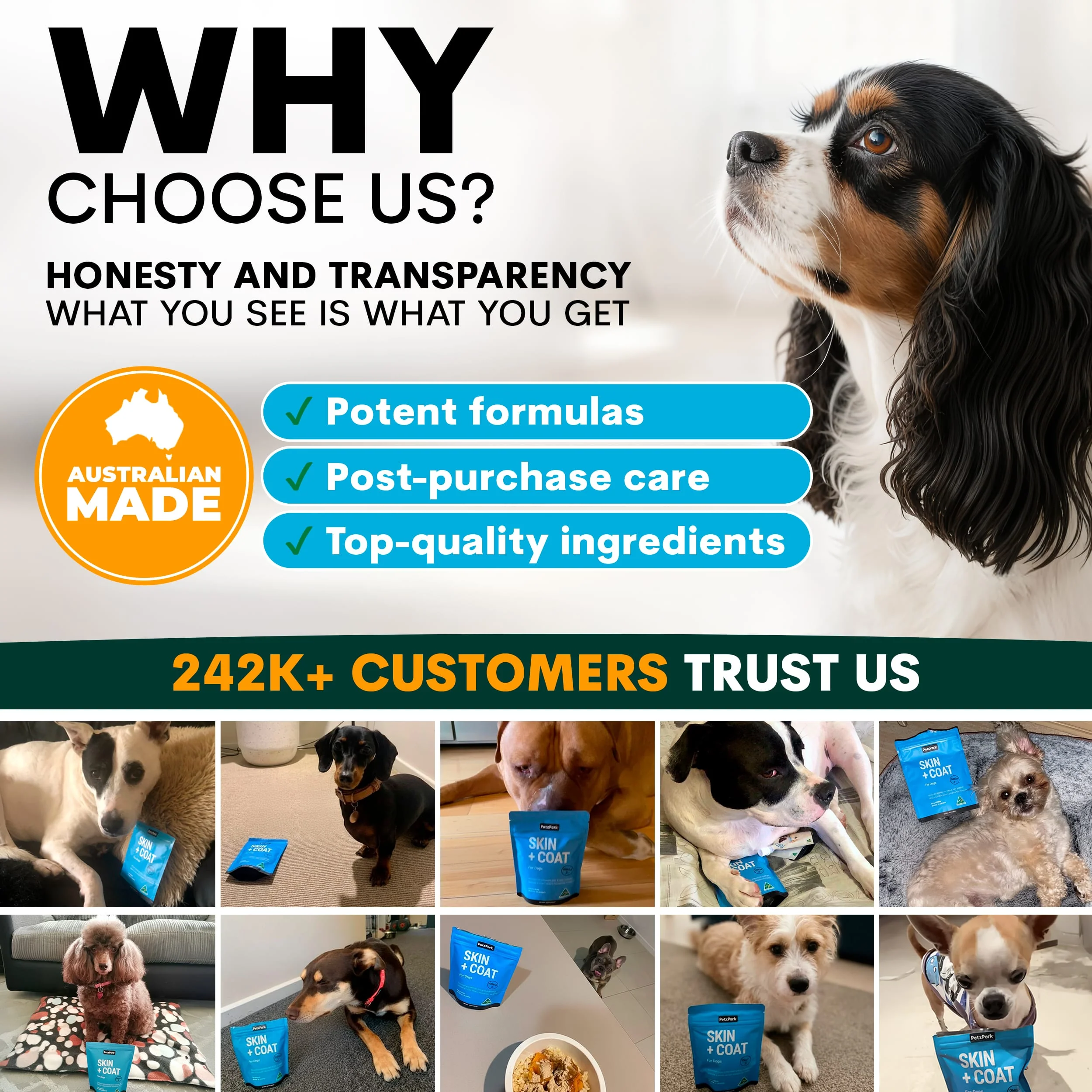 Skin + Coat for Dogs - Image 10