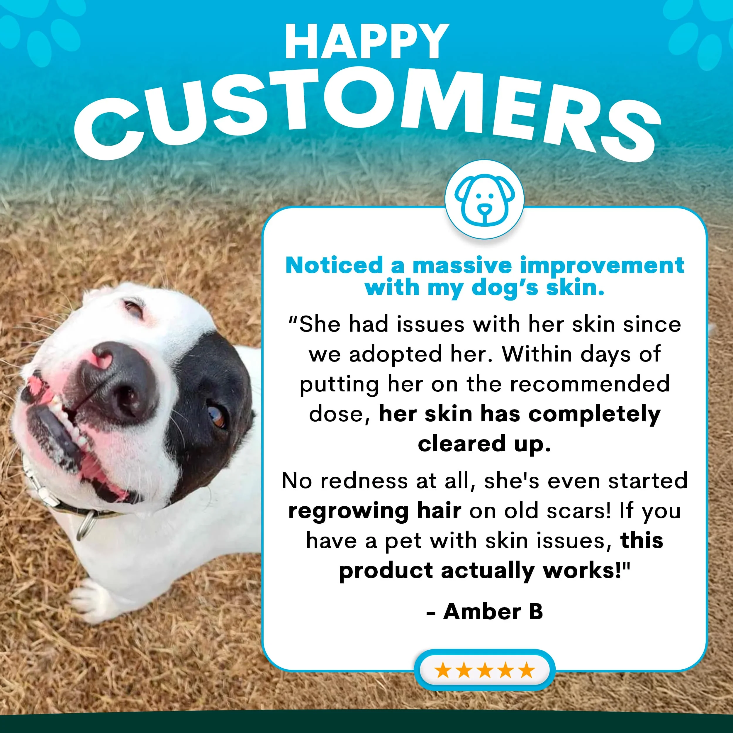 Skin + Coat for Dogs - Image 4