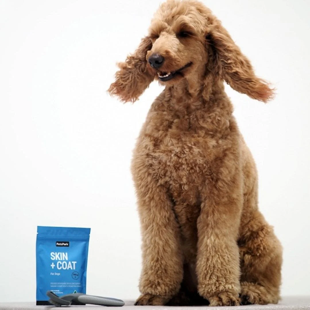 Skin + Coat for Dogs - Image 6
