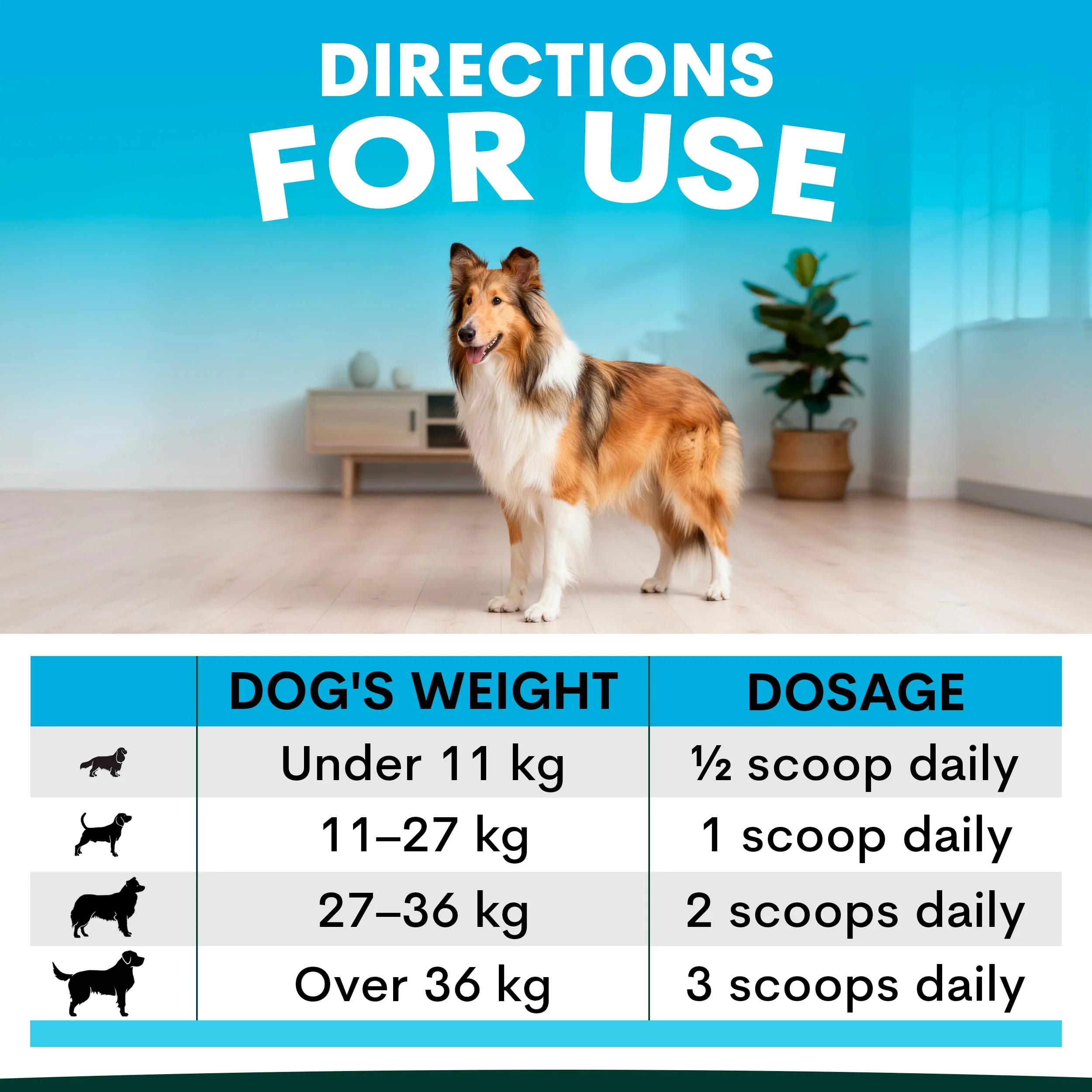 Skin + Coat for Dogs - Image 8