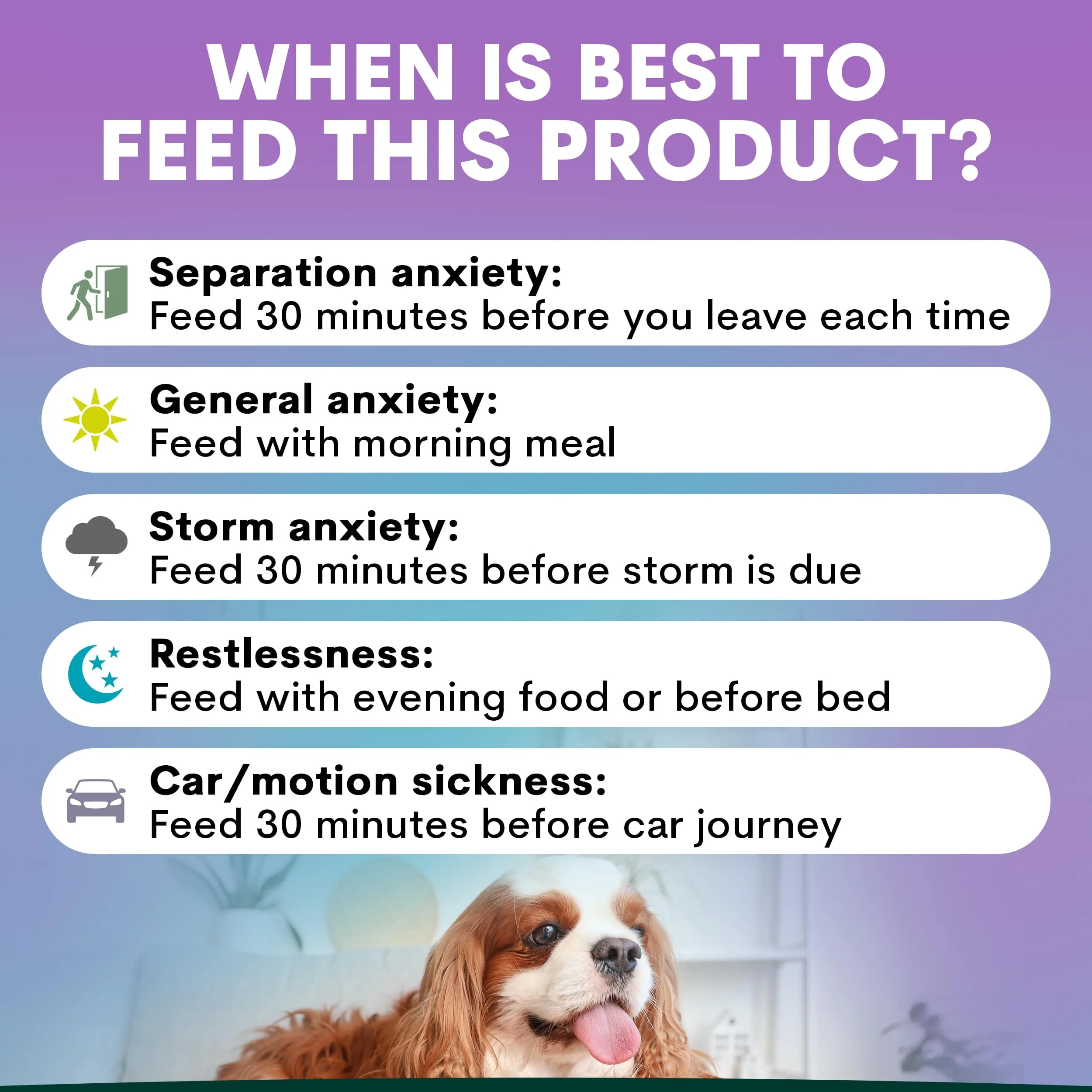 Stress + Anxiety for Dogs - Image 3