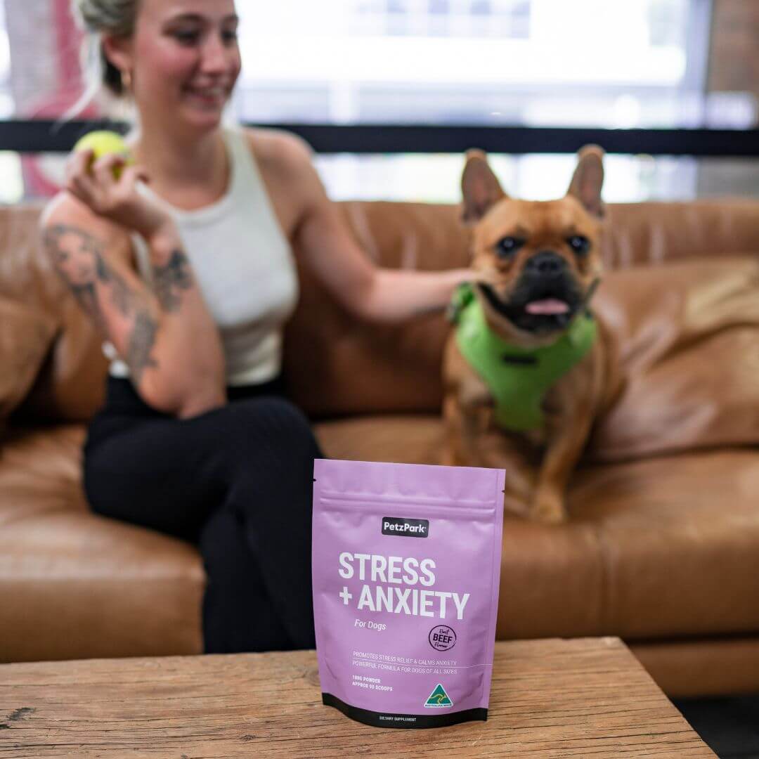 Stress + Anxiety for Dogs - Image 6