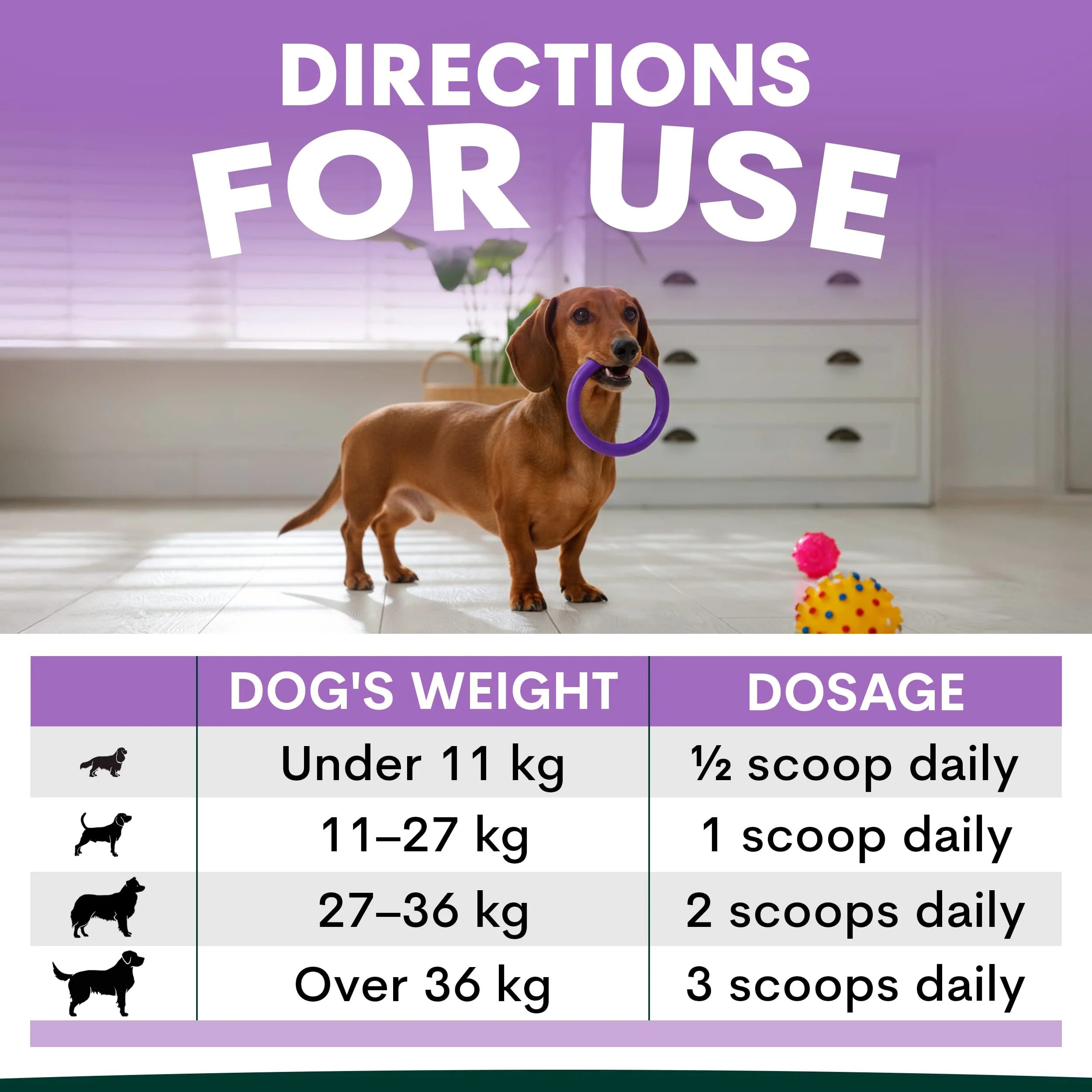 Stress + Anxiety for Dogs - Image 8