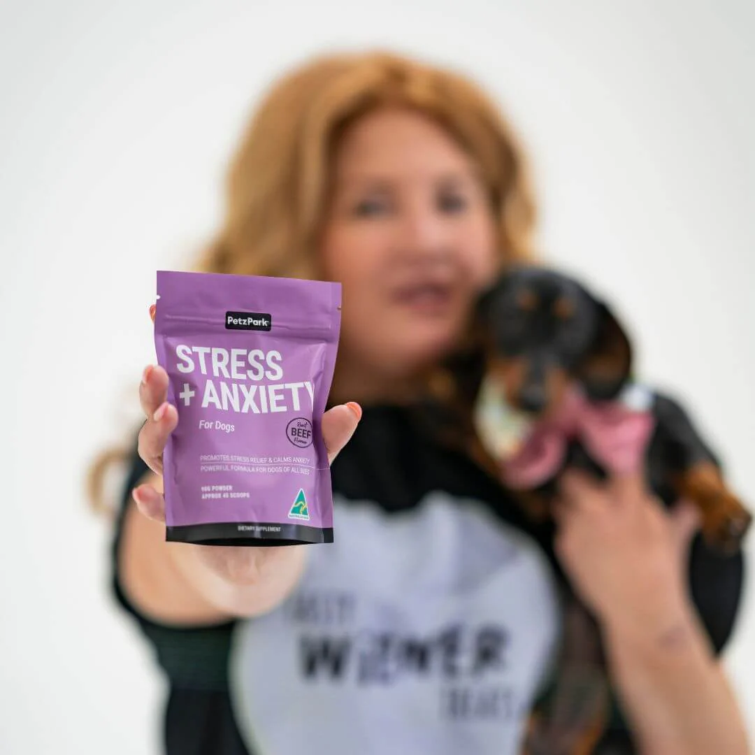 Stress + Anxiety for Dogs - Image 9