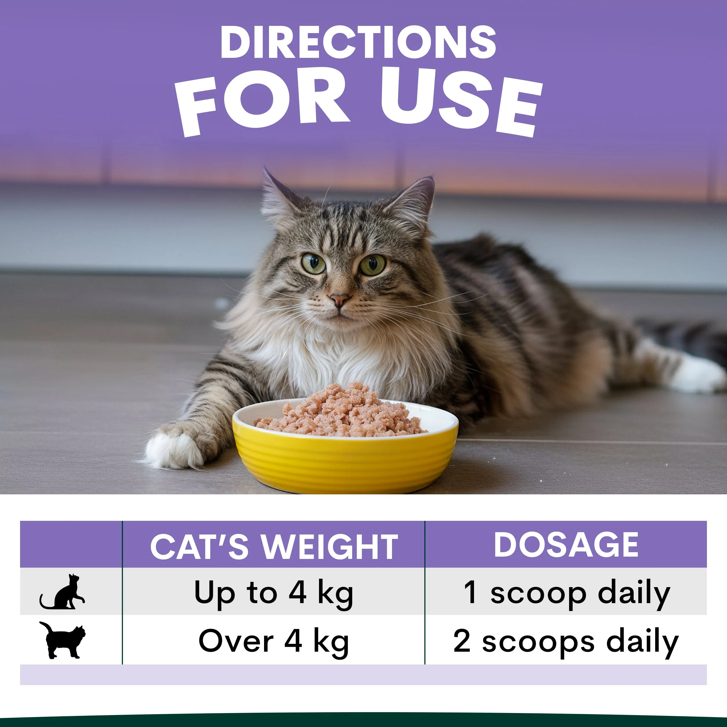 Stress + Anxiety for Cats - Image 7