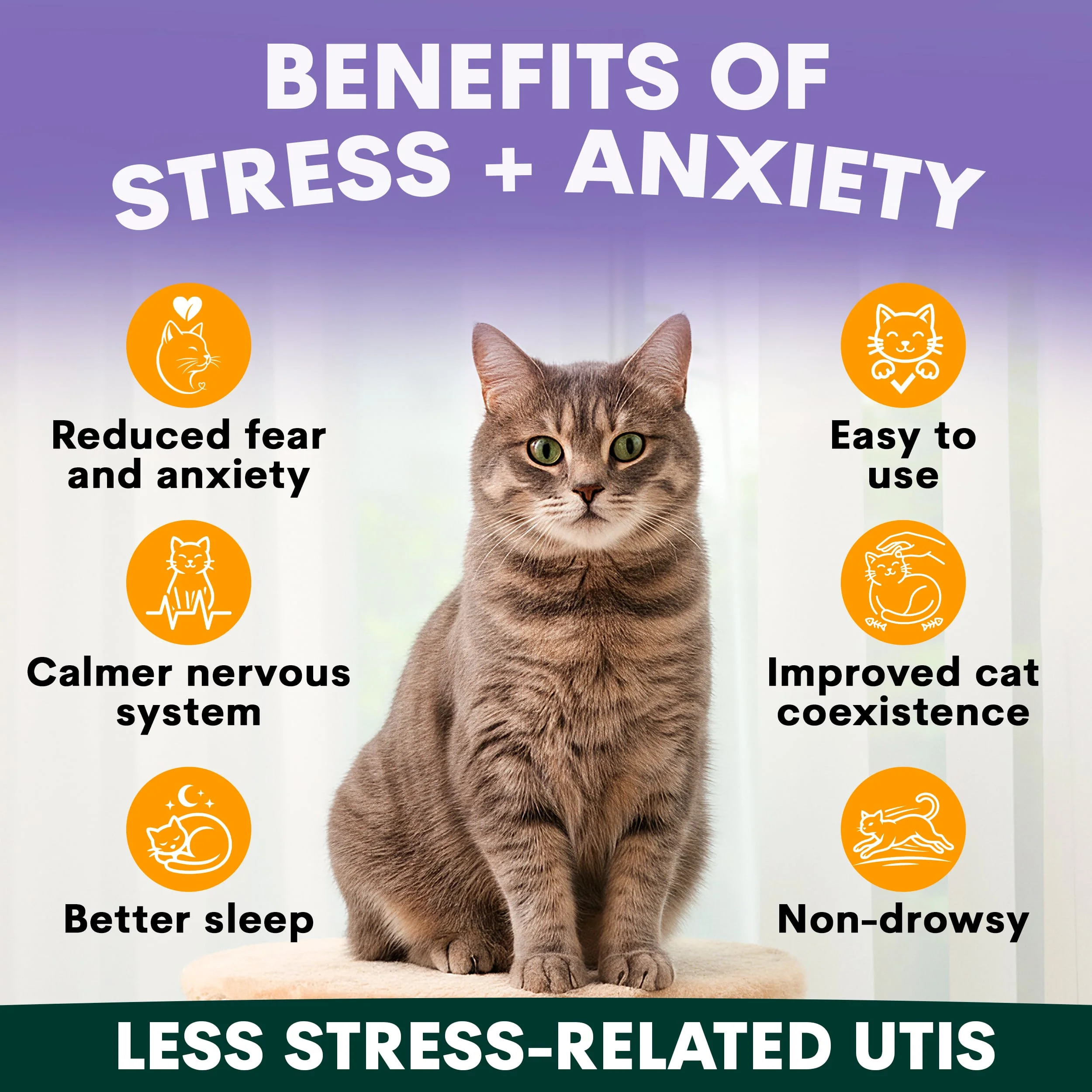 Stress Less Bundle - Image 3