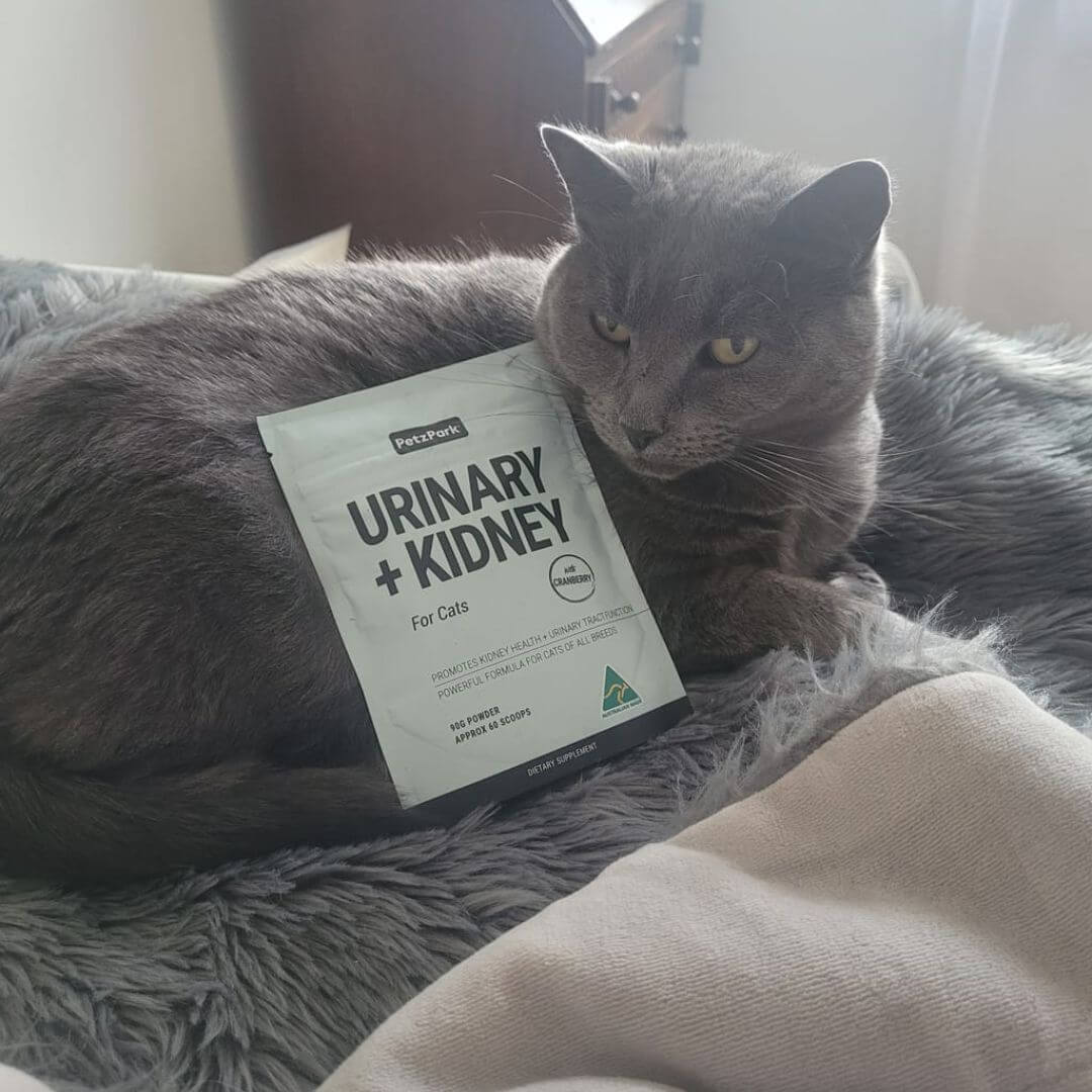 Urinary + Kidney for Cats - Image 10