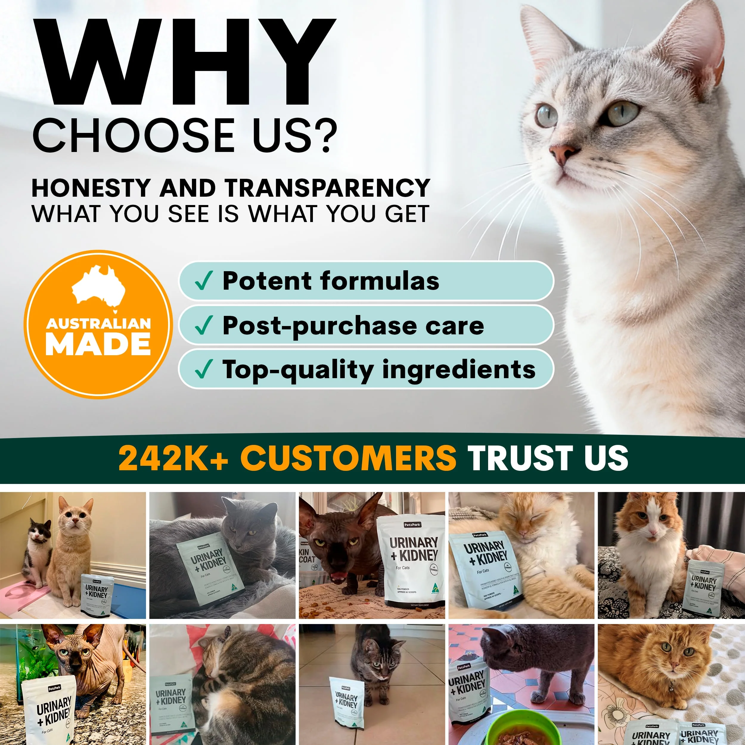 Urinary + Kidney for Cats - Image 11