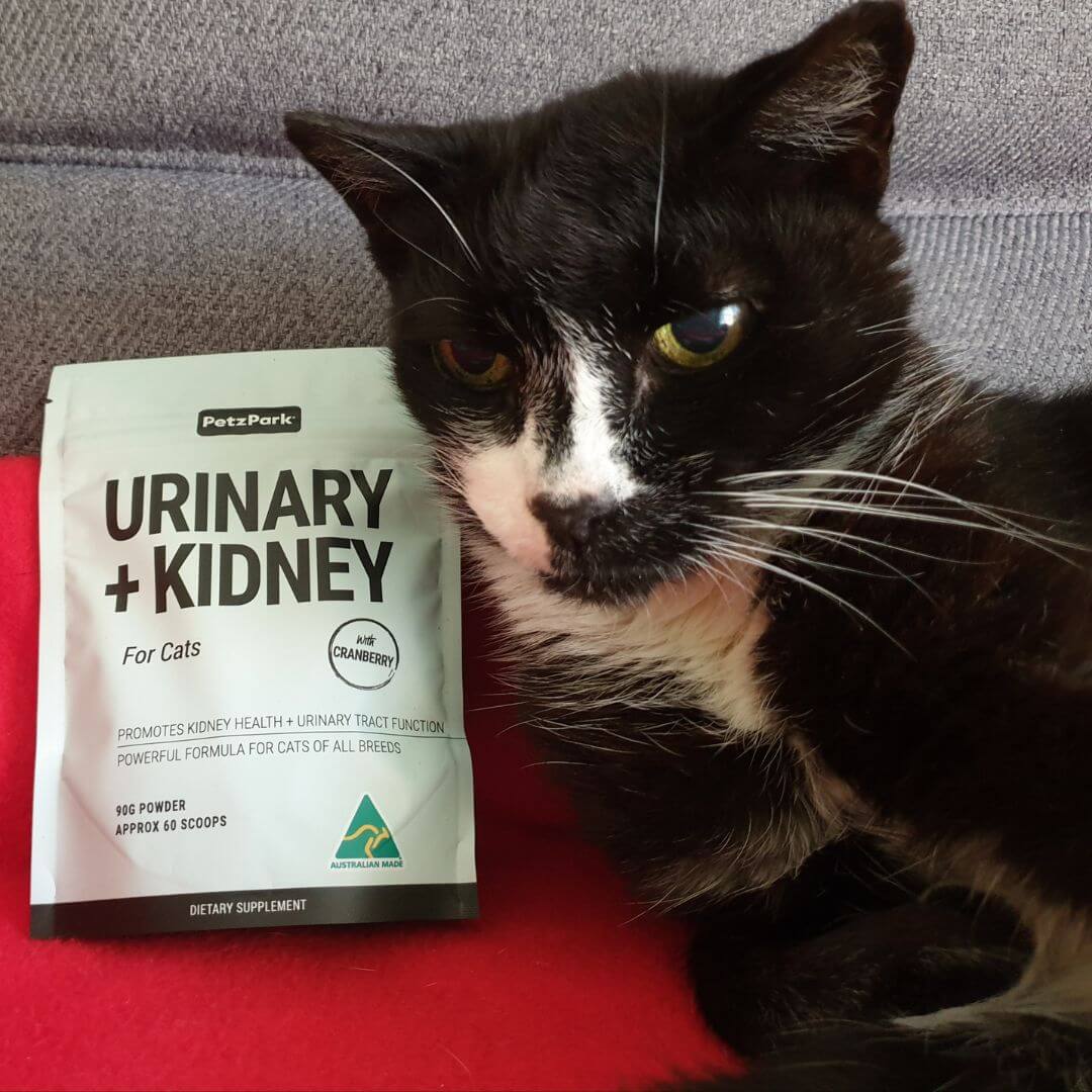 Urinary + Kidney for Cats - Image 6